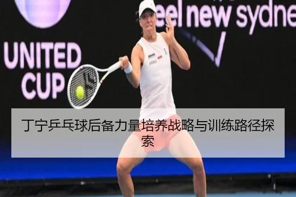 丁宁乒乓球后备力量培养战略与训练路径探索